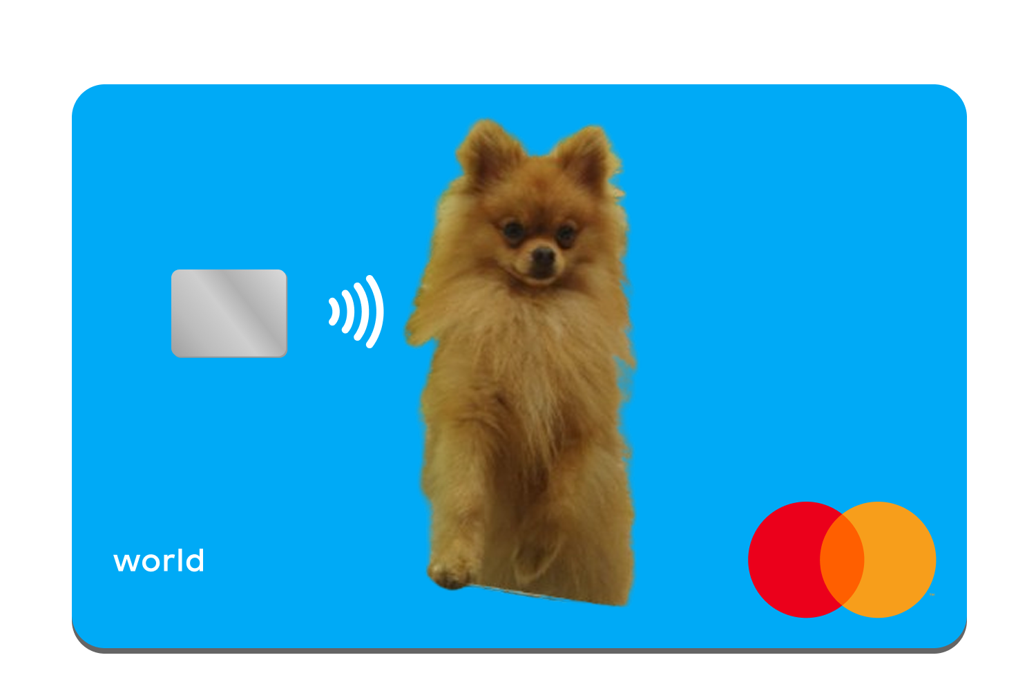 Дебетовая карта Банка Тоша